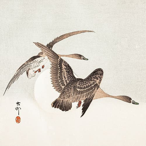 Geese and Full Moon Art Print