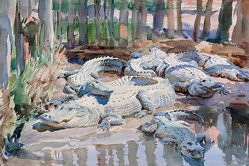 Muddy Alligators Nature Print