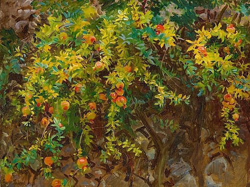Pomegrantes, Majorca, 1908 Nature Print