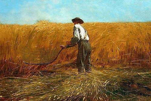 The Veteran in a New Field Art Print