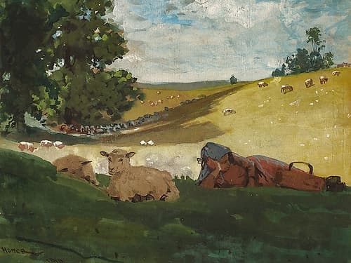 Warm Afternoon Art Print