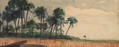 Palm Trees, Red Landscape Print