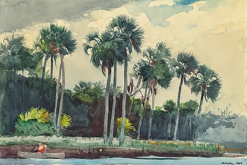 Red Shirt, Homosassa, Florida Coastal Print