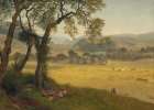 A golden summer day near Oakland Art Print