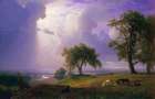 California Spring Art Print