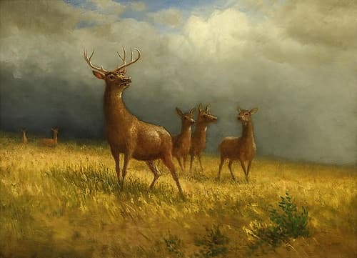Three Deer and a Stag Art Print
