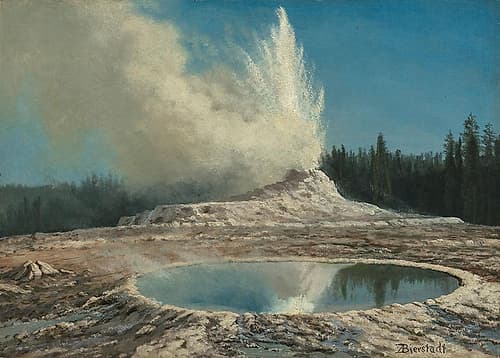 Geyser, Yellowstone Park Landscape Print