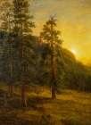 California Redwoods 1872 Art Print
