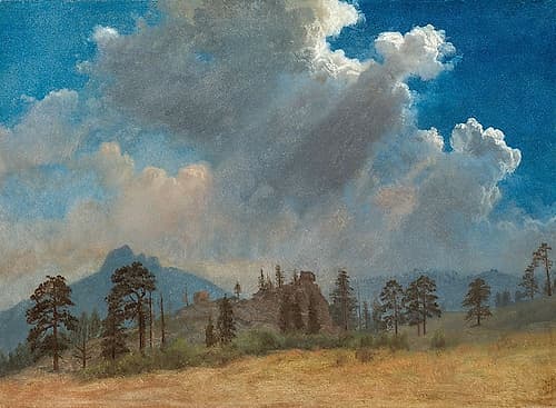 Fir Trees and Storm Clouds 1870 Landscape Print