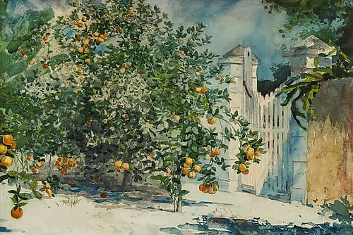 Orange trees and gate Coastal Print
