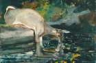 Deer Drinking Art Print