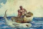 Shark fishing Art Print