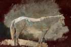 White Mare Art Print