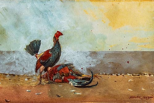 The Cock Fight Art Print