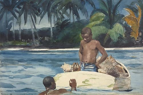 West India Divers Coastal Print