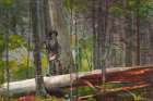 Hunter in the Adirondacks Art Print