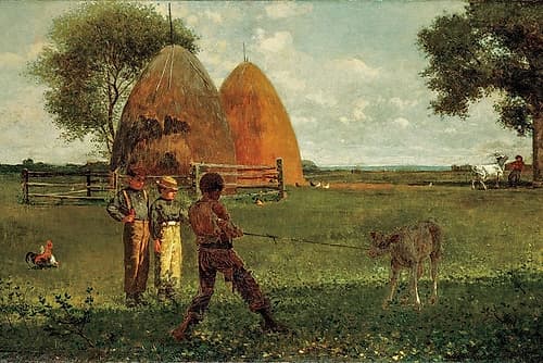 Weaning the Calf Art Print