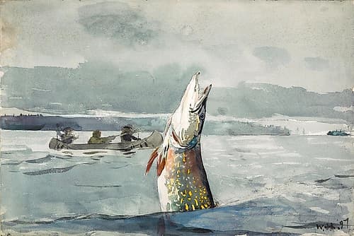 Pike, Lake St. John Ouananiche Fishing Games and Sports Print