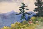 North Woods Club, Adirondacks Art Print