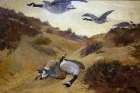 Wild Geese in Flight Art Print