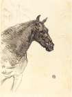 Old Horse Art Print
