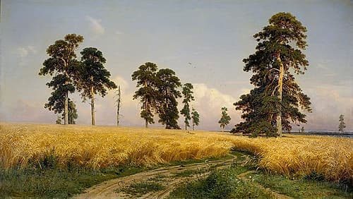 Rye Fields Art Print