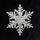 Snowflake 1152 Art Print