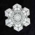 Snowflake 10A Art Print