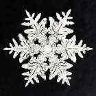 Snowflake 990 Art Print