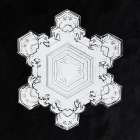 Snowflake 1205 Art Print
