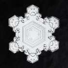 Snowflake 1205 Art Print