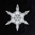 Snowflake 342 Art Print