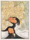 Two silver pheasants Art Print