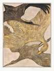 Three flying birds Art Print