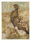 Duck with chicks at waterfront Vintage Print