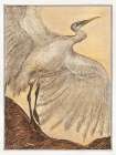 Egret Art Print