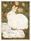 Rabbits Art Print