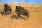 Indians Simulating Buffalo Art Print
