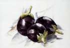 Eggplants Still Life Print