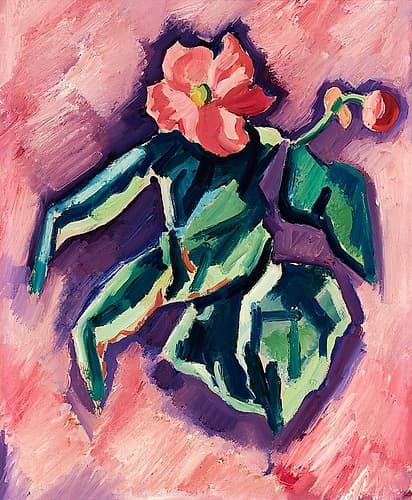 Pink Begonias Art Print by Marsden Hartley
