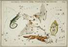 Astronomical chart illustration of the Lacerta-Cygnus-Lyra-Vulpecula and the Anser Vintage Print
