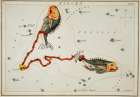 Astronomical chart illustration of the Pisces Vintage Print
