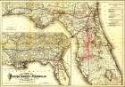 Florida Transit and Peninsula Rail Road 1882 Vintage Print