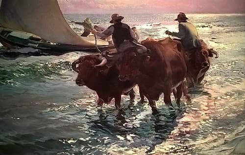 Oxen in the Sea Coastal Print