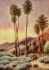Palm Canyon-California from On Sunset Highways 1921 Art Print