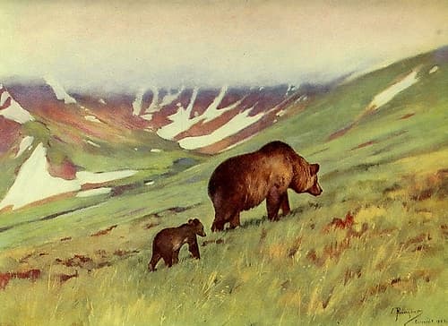 Bears walking in Basin Art Print