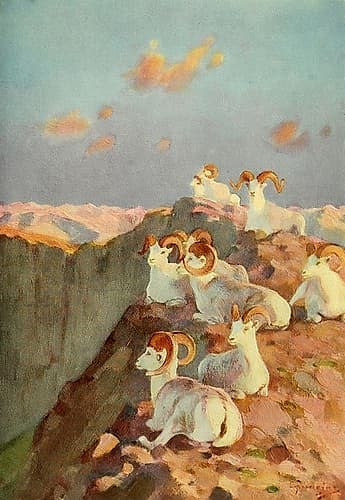 On the Precipice Art Print
