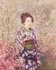 Geisha and Cherry Blossom Art Print