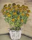 Chrysanthemum Art Print