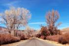 Road in California Art Print